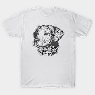 Pet Dogs T-Shirt